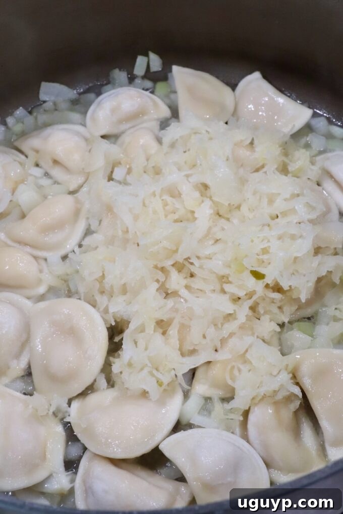 mini pierogis in a large pot with diced onions and sauerkraut, simmering