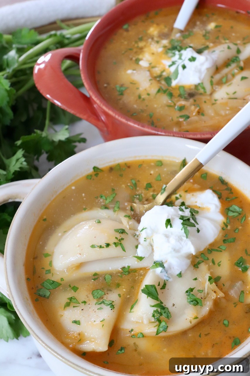 pierogi soup in bowls topped with sour cream and chopped parsley, ready to eat