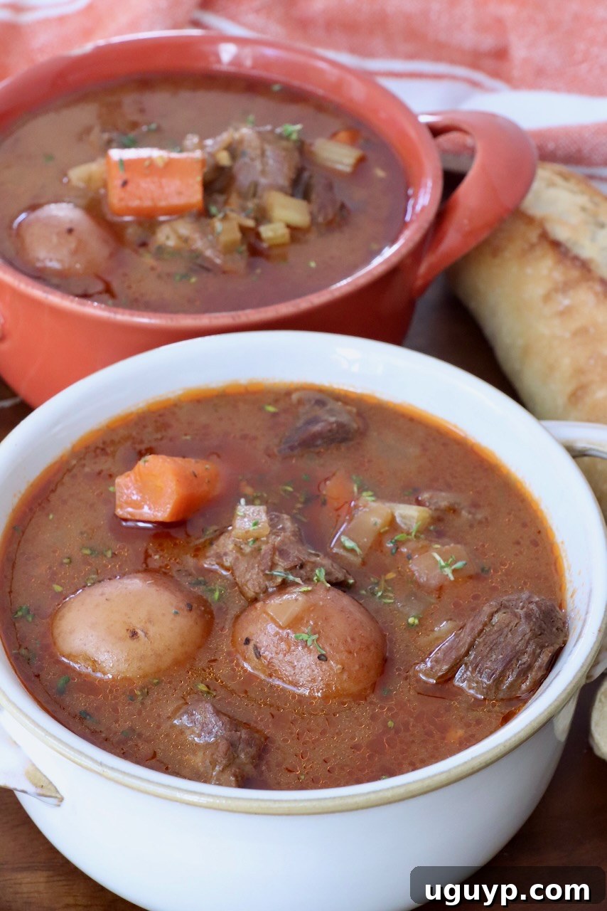 Two steaming bowls of homemade beef stew, garnished with fresh herbs, ready to be served for a warm and comforting meal.
