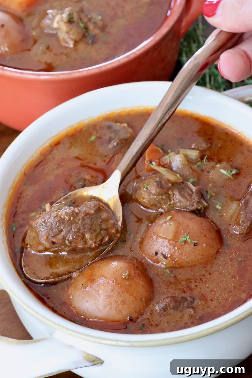 A hearty bowl of homemade beef stew with tender beef and vegetables, served with a spoon.