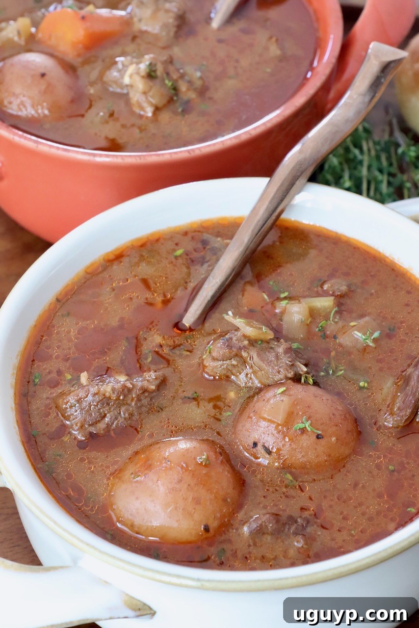 Two bowls of beef stew, garnished and ready to be enjoyed, with spoons.