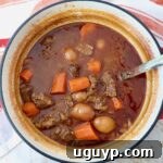 A large pot of beef stew with a serving spoon, showcasing its rich texture.