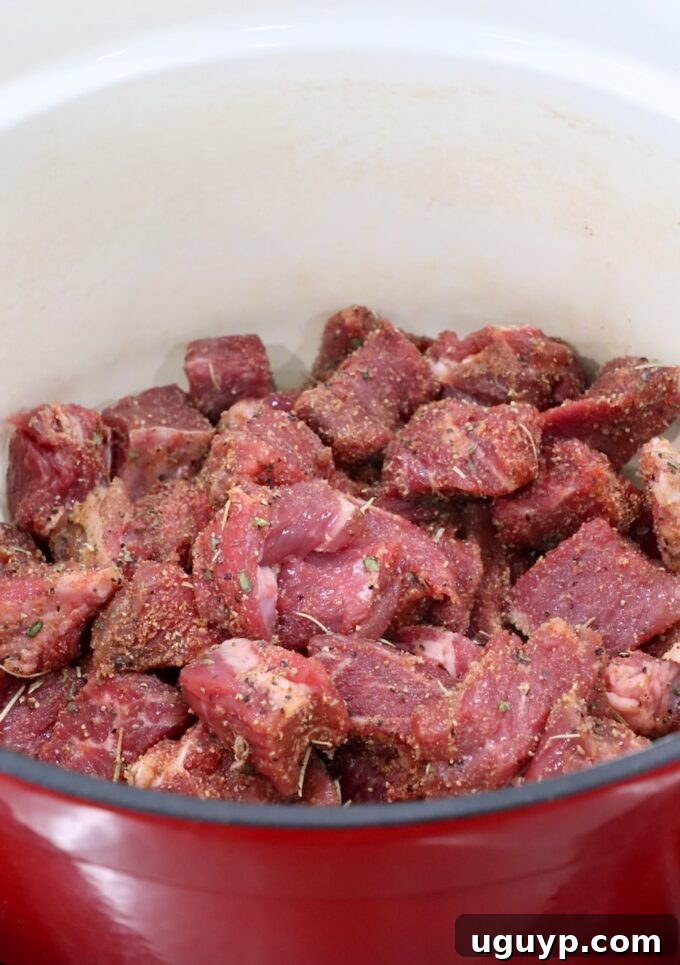 Raw, seasoned, cubed beef in a large Dutch oven, ready for searing.