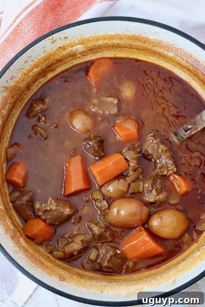 Finished beef stew in a large Dutch oven, ready to be served.