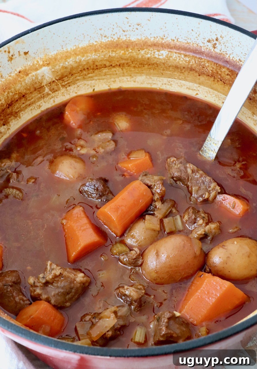 A large pot of rich, homemade beef stew with a serving spoon, ready to be dished out.