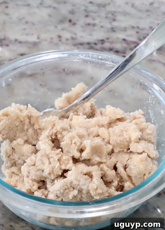 A close-up shot of the cinnamon sugar crumble mixture in a glass bowl, with a fork showcasing its perfect texture before being added to the dip.