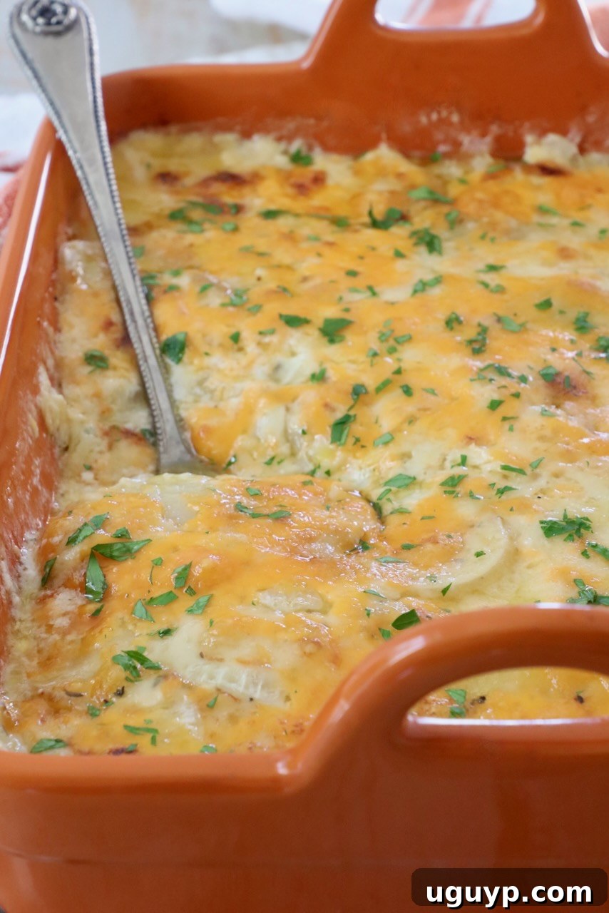 A vibrant orange casserole dish filled with golden-brown, cheesy Au Gratin Potatoes, with a serving spoon poised to scoop a portion.