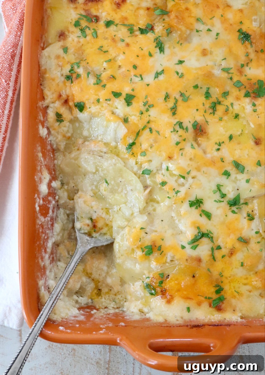 A large serving of golden-brown au gratin potatoes in an orange baking dish, with a metal serving spoon lifting a portion, showcasing its creamy layers.