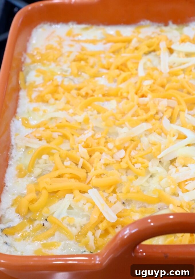 Layers of thinly sliced potatoes and creamy sauce in a baking dish, topped with generous amounts of shredded cheese, ready for the oven.