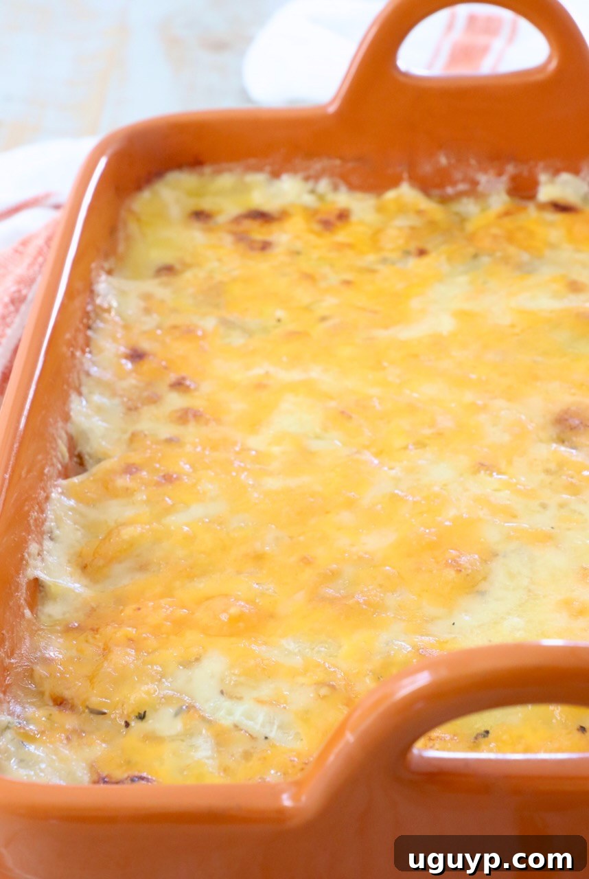 A close-up of cheesy Au Gratin Potatoes in an orange casserole dish, showing the golden-brown crust and melted cheese, ready to be served.