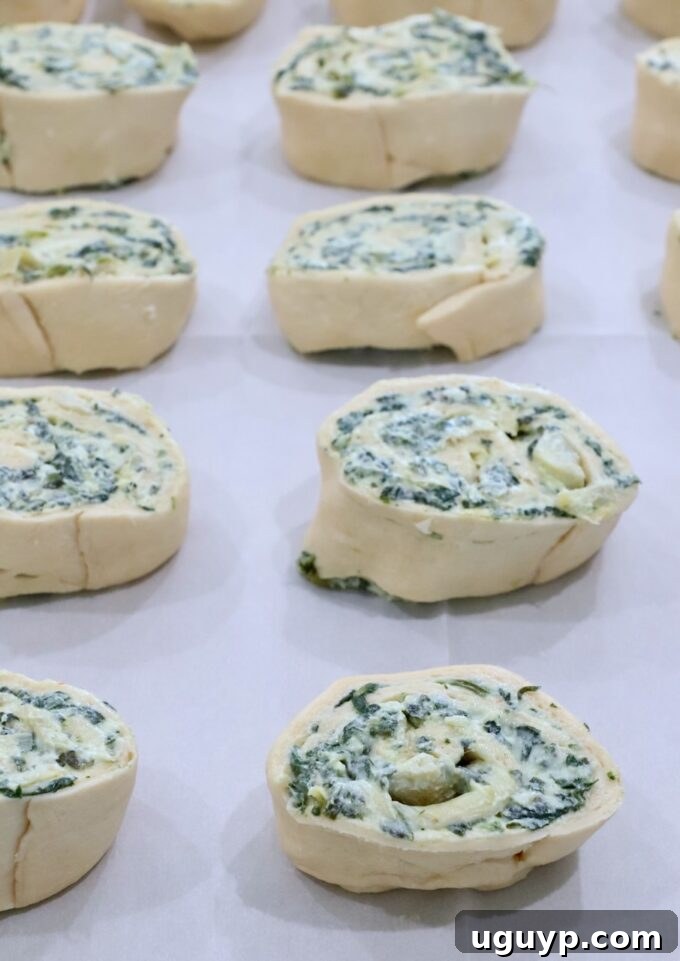 Uncooked spinach pinwheels arranged neatly in a single layer on a parchment-lined baking sheet, before brushing with butter.