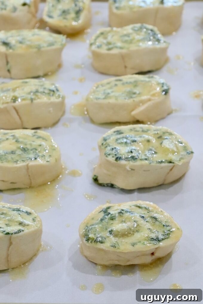 Spinach artichoke rolls, brushed with melted garlic butter, on a baking sheet, ready for the oven.