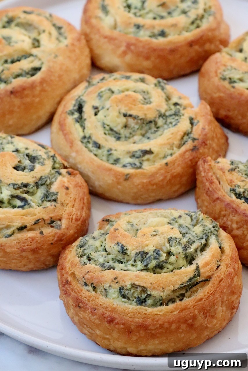 Baked spinach pinwheels arranged artfully on a white plate, garnished and ready to be served.