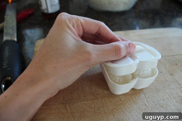 Tool for making Nigiri Sushi Rice Cakes