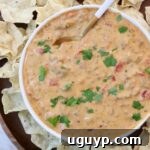 queso dip in a bowl with a spoon