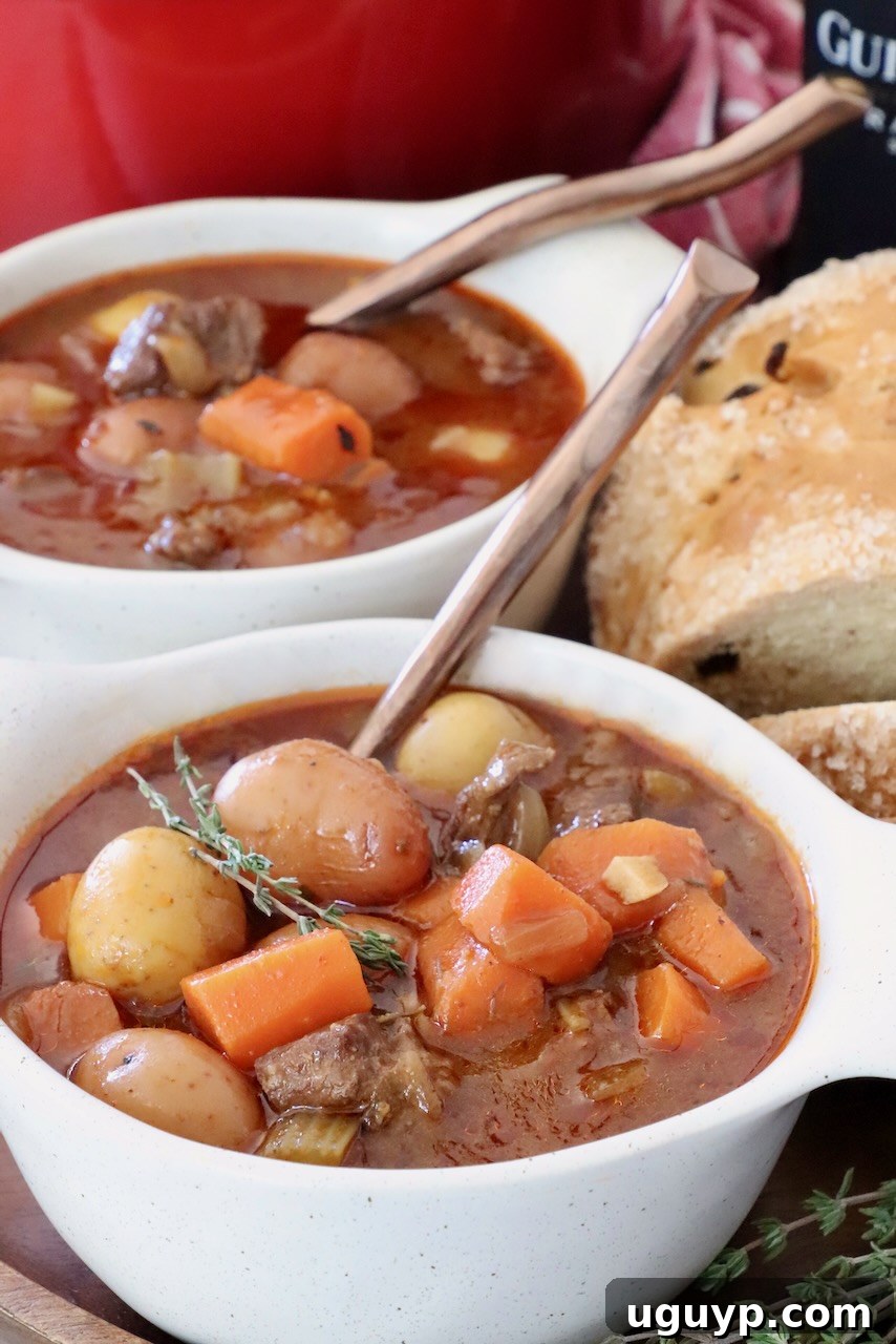 Two steaming bowls of traditional Irish stew with spoons, ready to be enjoyed.