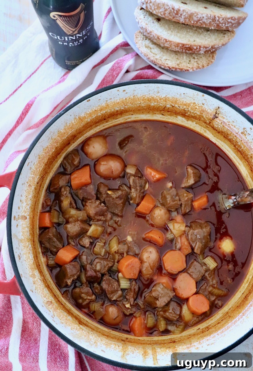 A large cast iron pot filled with beef stew, garnished with fresh herbs, alongside a bottle of Guinness and sliced bread.