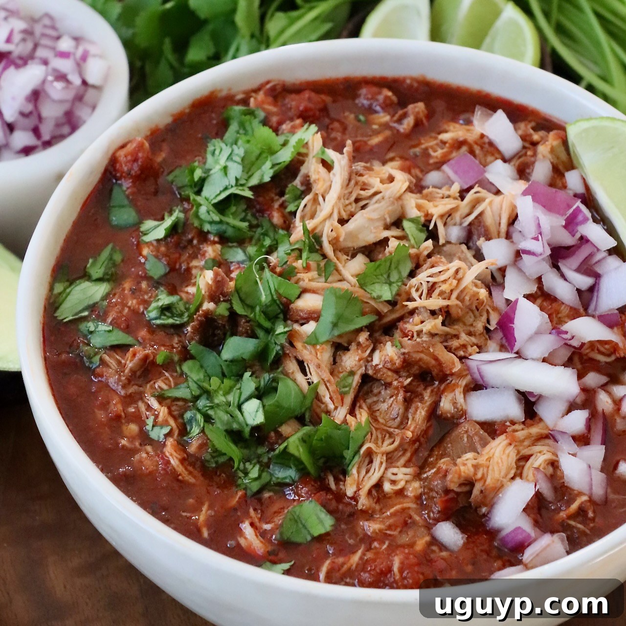Shredded chicken with birria broth in a bowl, topped with diced onions and cilantro