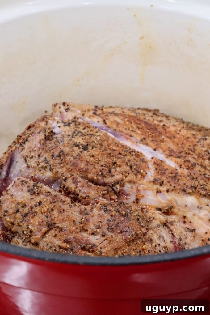 A seasoned pork shoulder resting in a cast iron Dutch oven, ready for searing.