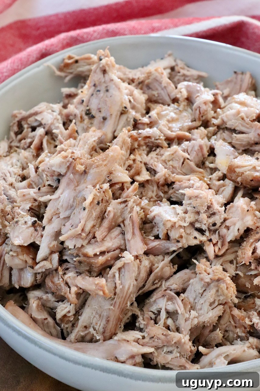 A generous serving of pulled pork piled high in a rustic bowl, ready to be enjoyed.