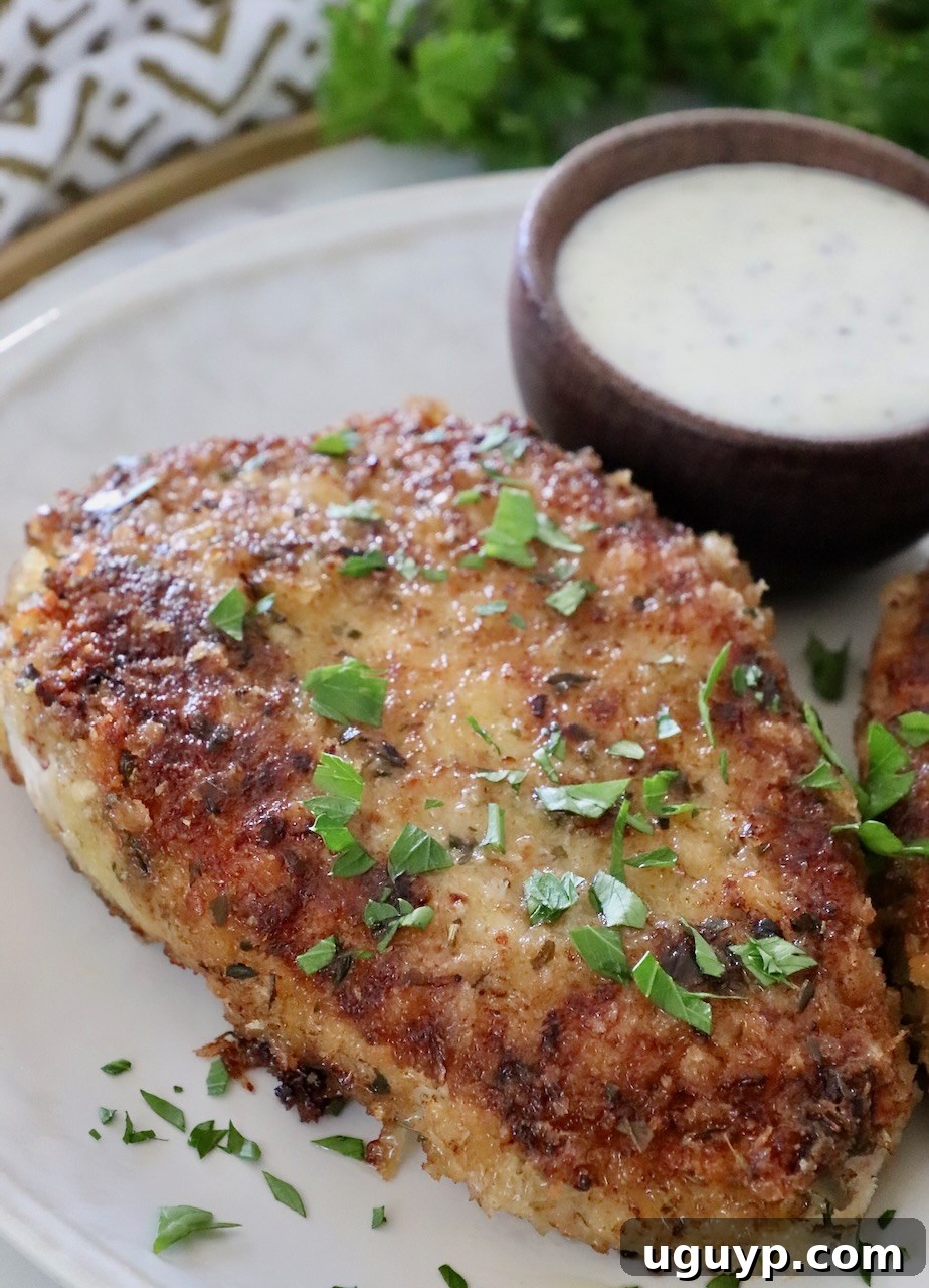 A single pan-fried breaded pork chop showcased beautifully on a white plate, highlighting its golden-brown, crispy crust.