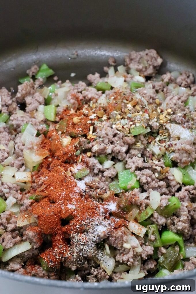 cooked and seasoned ground beef in a large pot with spices on top