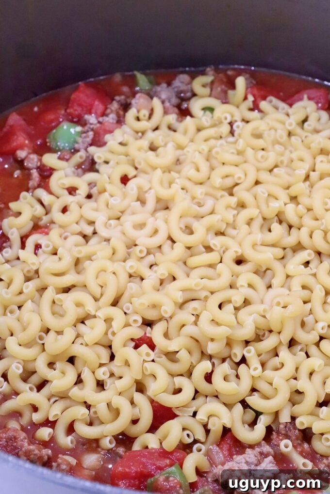 uncooked macaroni noodles being added to the pot with tomato sauce mixture