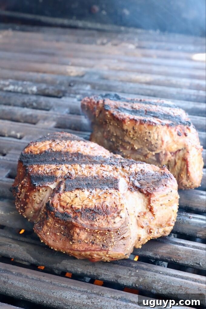 Two seared filet mignon steaks on a grill, showing distinct grill marks.