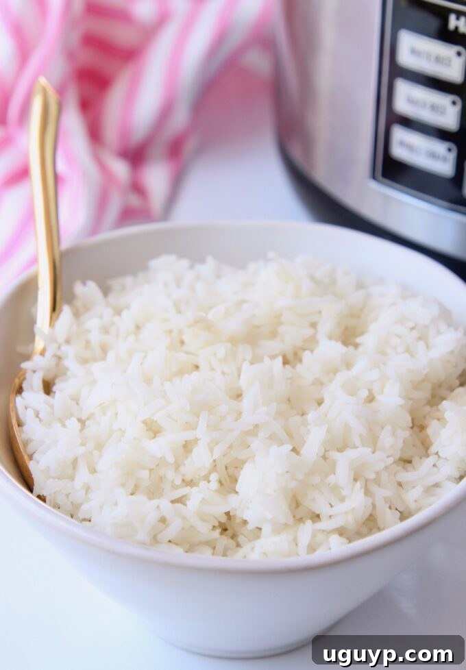 Fluffy white rice served in a bowl, a perfect accompaniment for Asian stir-fries.