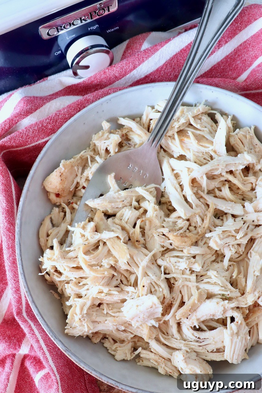 A bowl of juicy slow cooker shredded chicken with a large serving fork, beside a red striped towel and a blue Crock Pot, ready for versatile meal prep.
