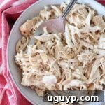 cooked, shredded chicken in a bowl with a large serving fork