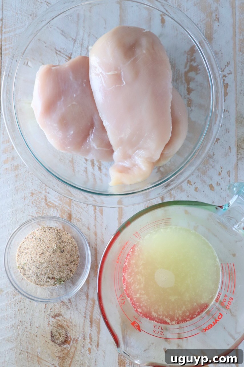 Three glass bowls filled with fresh ingredients: raw chicken breasts, a rich chicken seasoning blend, and savory chicken broth, highlighting the simple components of this recipe.