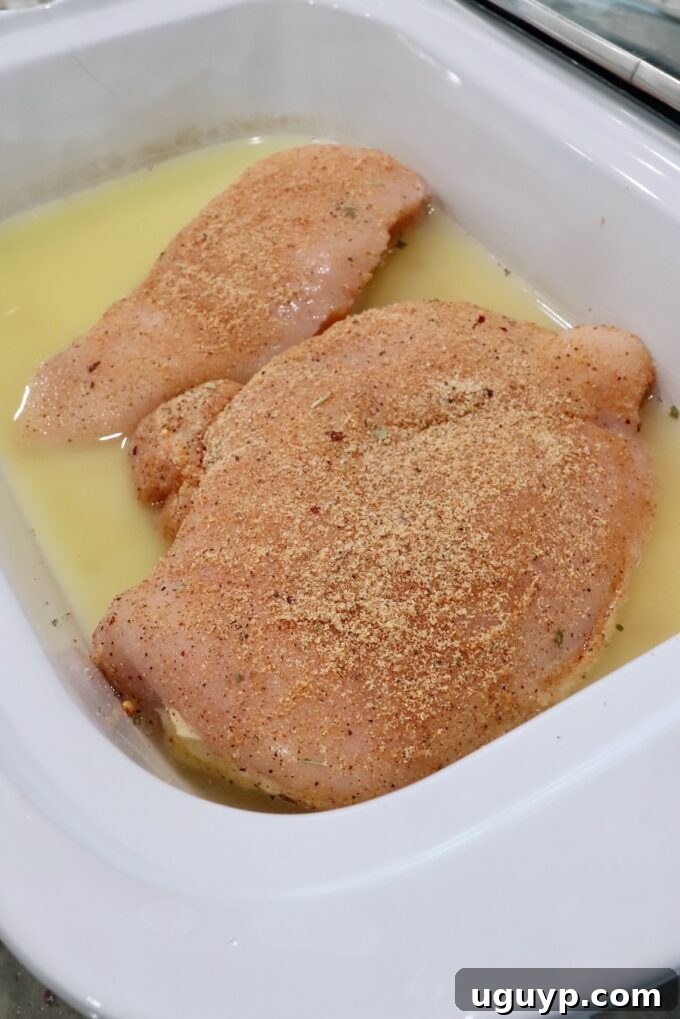 Raw chicken breasts, generously coated with homemade chicken seasoning, placed neatly inside a slow cooker, ready for the broth to be added.