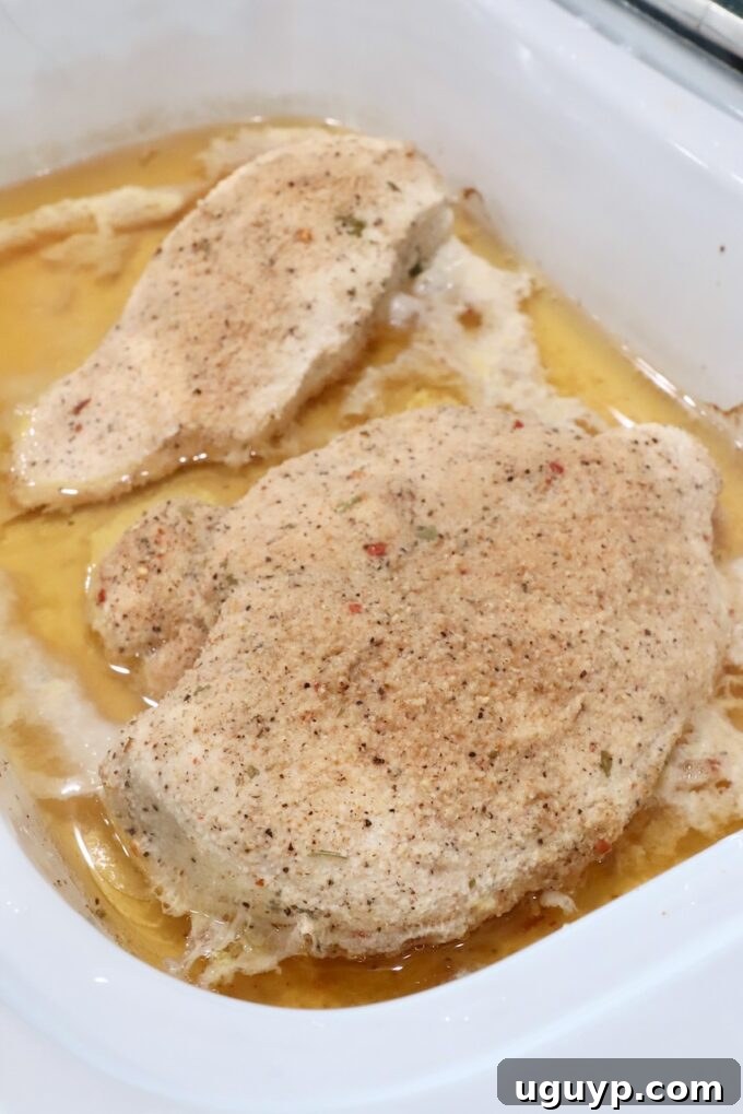 Cooked chicken breasts resting in a slow cooker, surrounded by savory broth, indicating they are tender and ready for shredding after the slow cooking process.