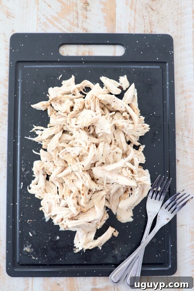 Finely shredded chicken piled on a cutting board, with two forks beside it, demonstrating the ideal texture achieved after cooking.