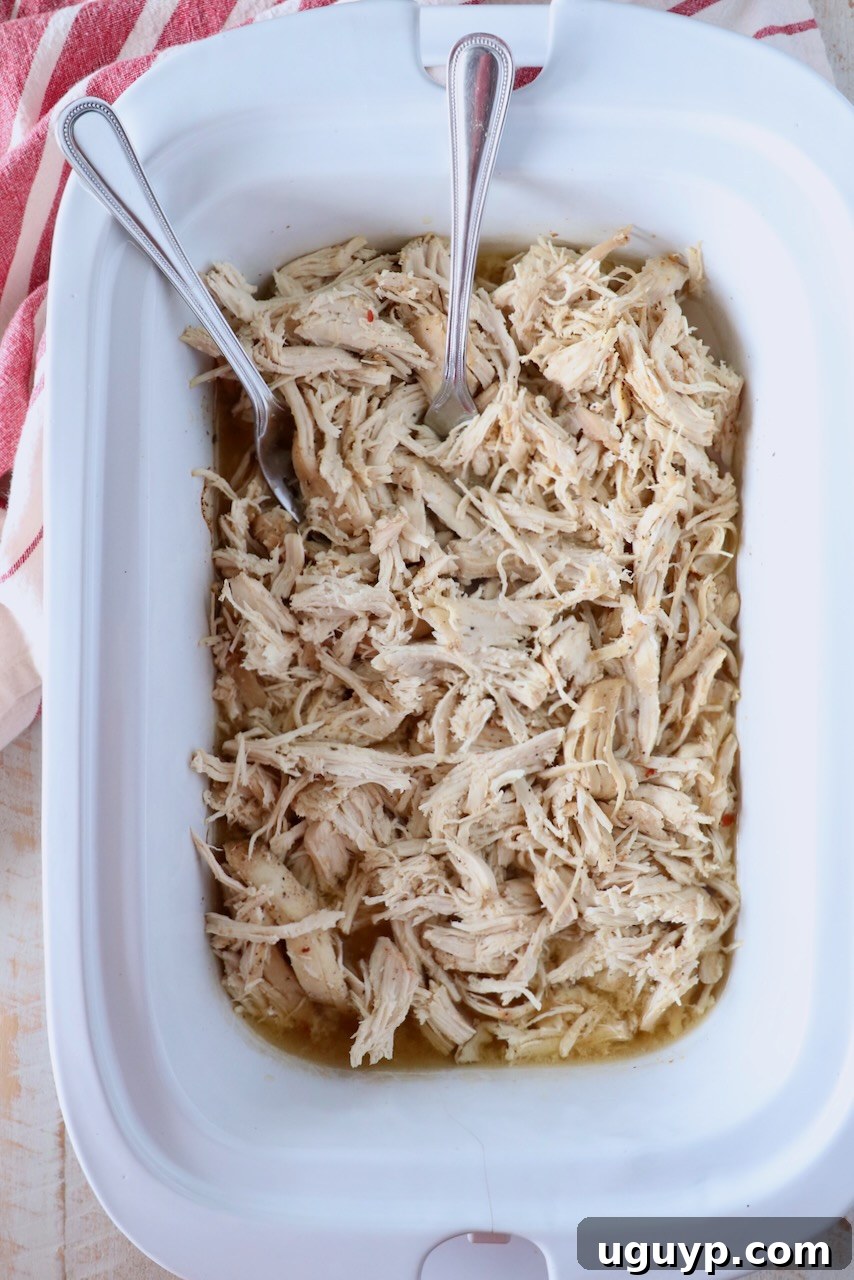 Close-up of perfectly cooked and shredded chicken breasts still in the slow cooker, with two forks resting inside, showcasing its tender texture.