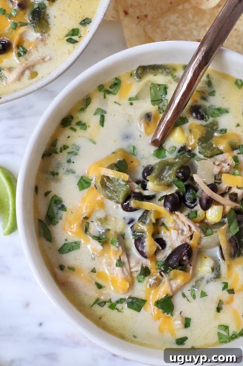 A steaming bowl of Chicken Poblano Soup, garnished with fresh cilantro and a dollop of sour cream, ready to be enjoyed.