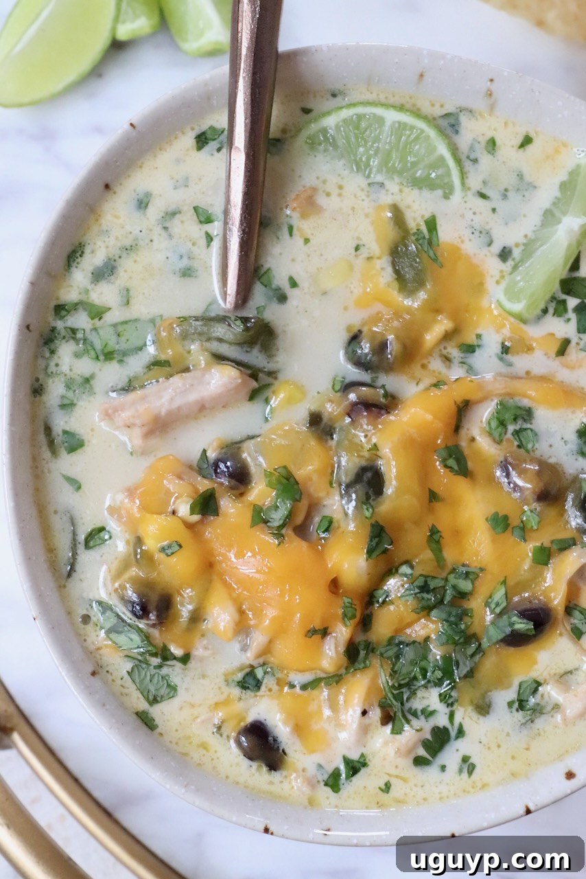 A close-up of a bowl of creamy Chicken Poblano Soup, topped with melted cheddar cheese and fresh cilantro, with a spoon ready for a bite.