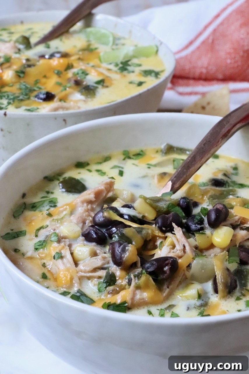 A hearty bowl of black bean and chicken poblano soup, perfectly garnished and ready to be enjoyed with a spoon.