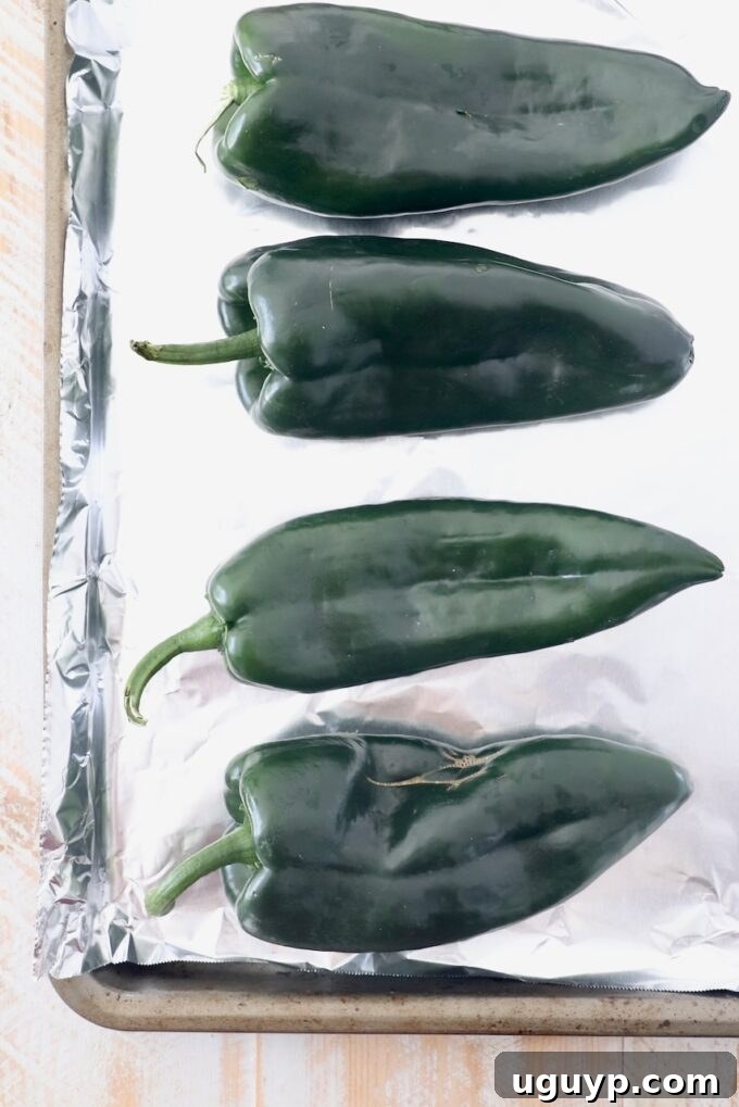 Raw poblano peppers arranged on a foil-lined baking sheet, ready for roasting under the broiler.