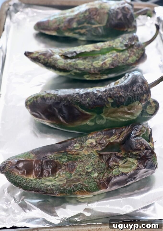 Roasted poblano peppers with charred and bubbling skins on a foil-lined baking sheet, indicating they are ready for the next step.