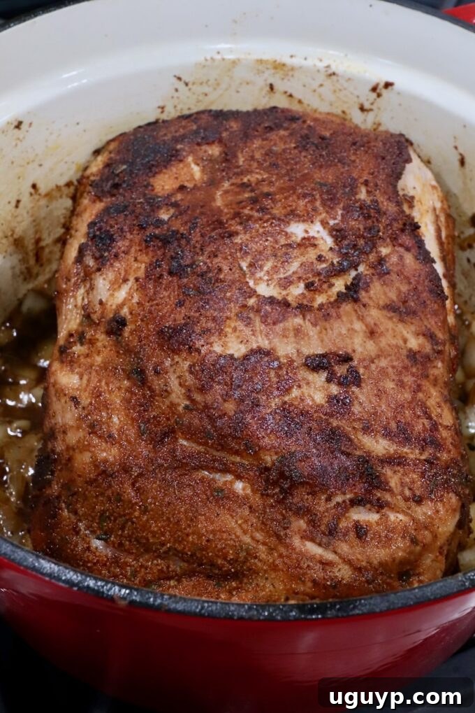 seasoned seared pork shoulder in a large cast iron pot