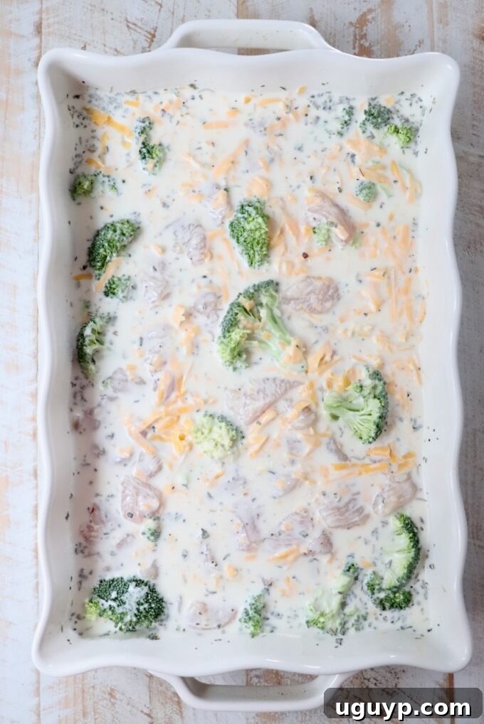 pieces of raw chicken and broccoli combined with uncooked rice in a creamy sauce in a casserole dish
