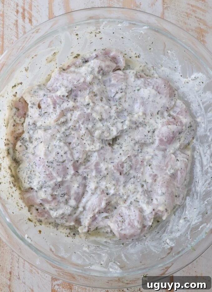 Boneless, skinless chicken thighs thoroughly coated in a rich, seasoned Greek yogurt marinade, resting in a large clear glass bowl, ready for chilling.