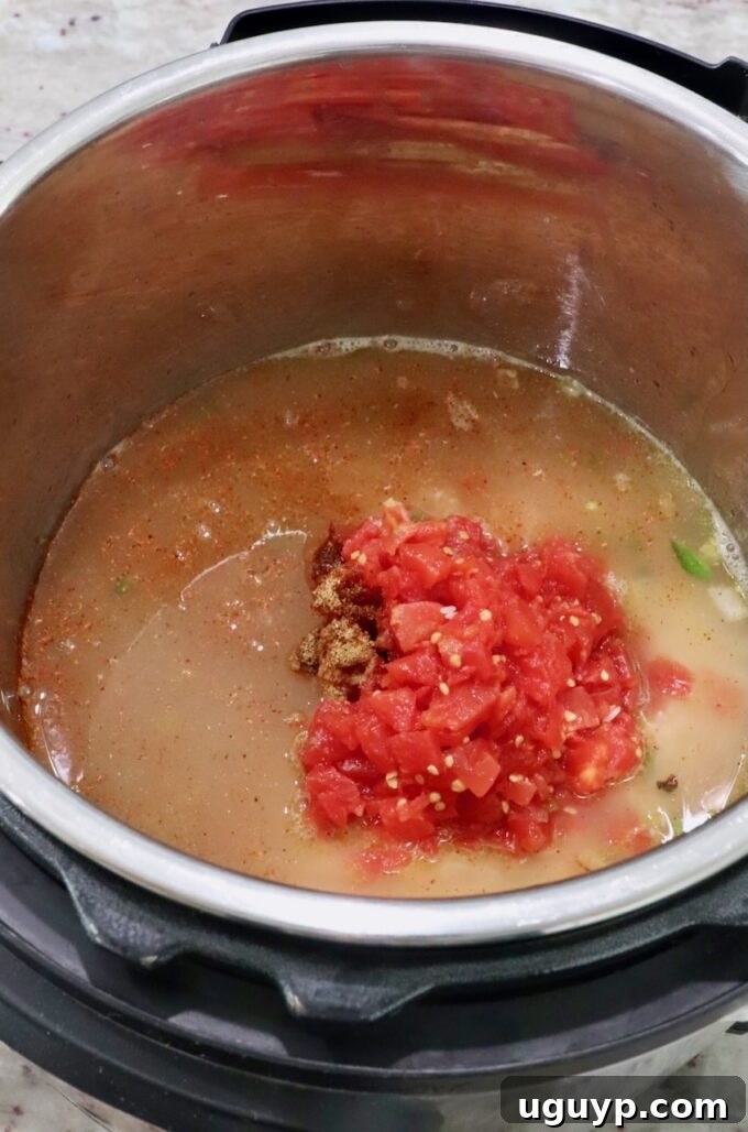diced tomatoes with green chilies, seasoned broth, rinsed rice, and sautéed vegetables in an Instant Pot