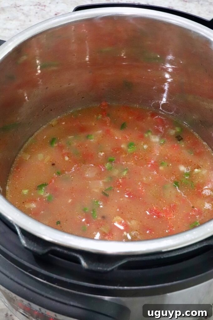 well-combined diced vegetables and seasoned broth in an Instant Pot, ready for pressure cooking