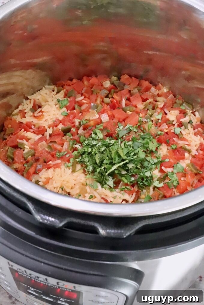 perfectly cooked Mexican rice in an Instant Pot, topped with chopped fresh cilantro