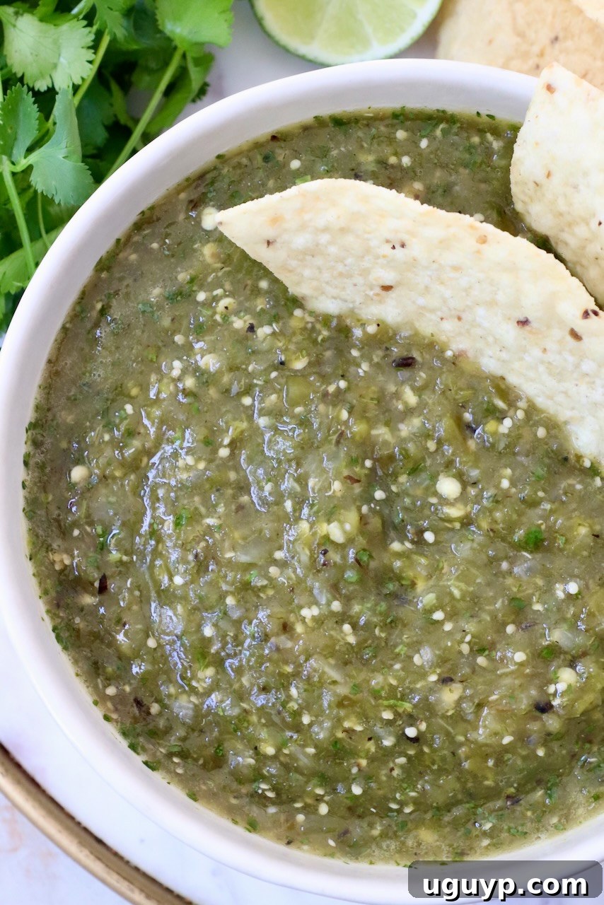 A rustic bowl of Tomatillo Salsa Verde surrounded by crispy tortilla chips, inviting guests to dip and enjoy.