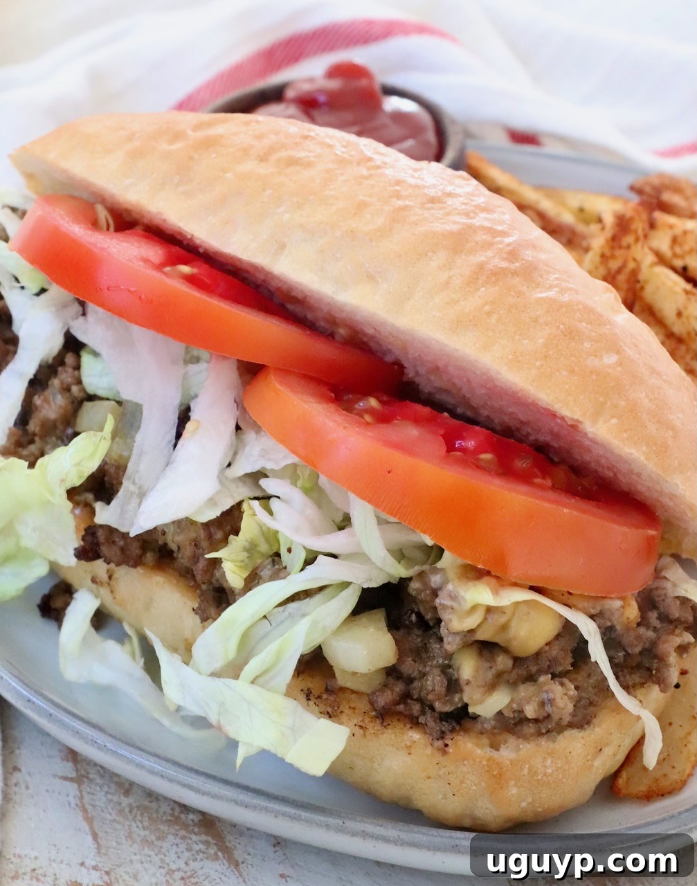 A perfectly assembled chopped cheese sandwich on a plate, served alongside golden french fries, inviting a satisfying meal.