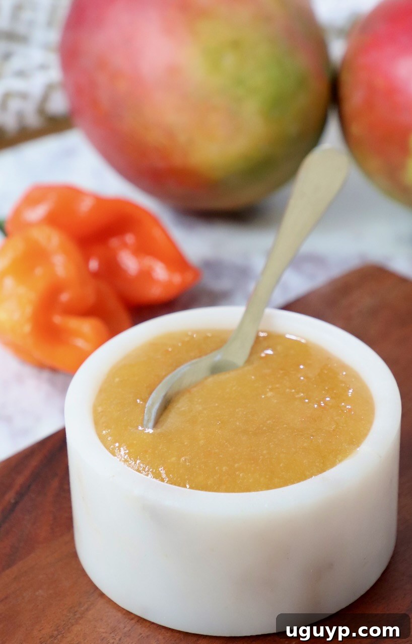A bowl of glossy mango habanero sauce, ready to serve, with a spoon resting inside, and fresh habaneros and mango slices artfully arranged in the background, highlighting the sauce's key ingredients.